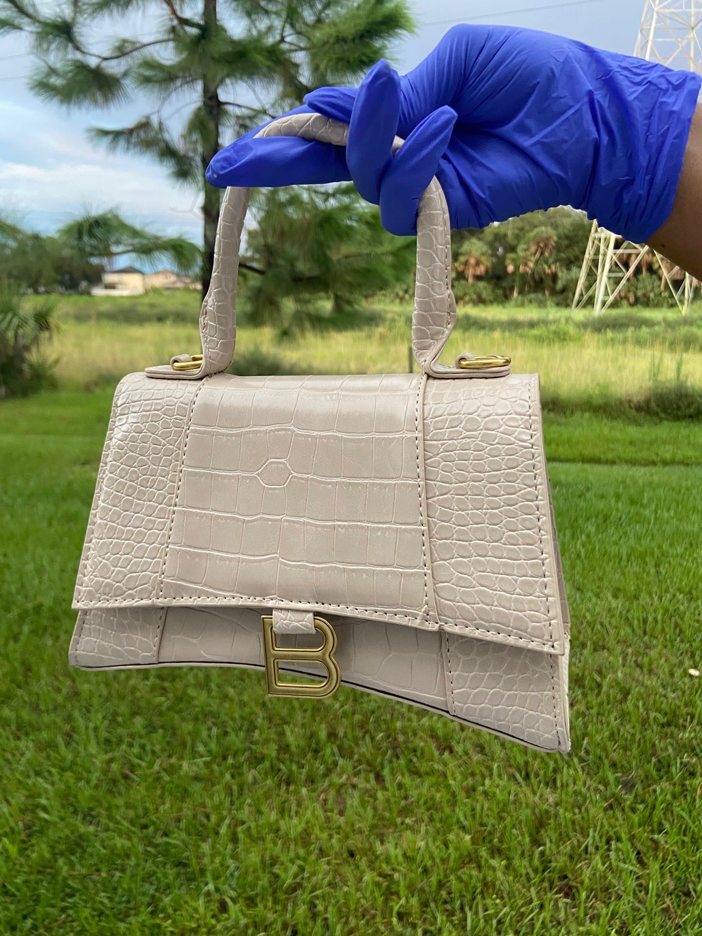 Material Girl Purse Set