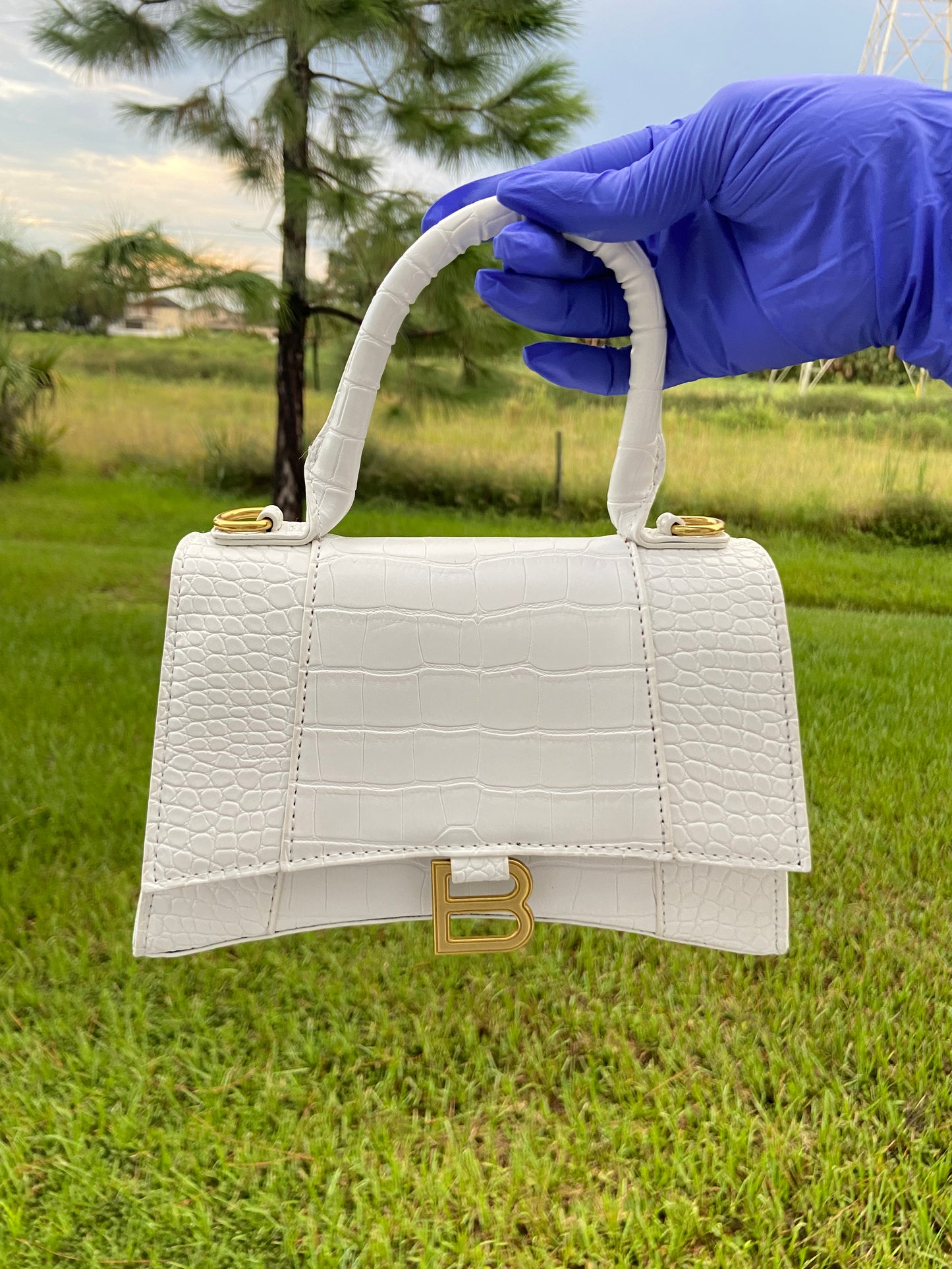 Material Girl Purse Set