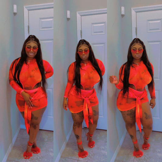 Mesh 2PCS Skirt Set